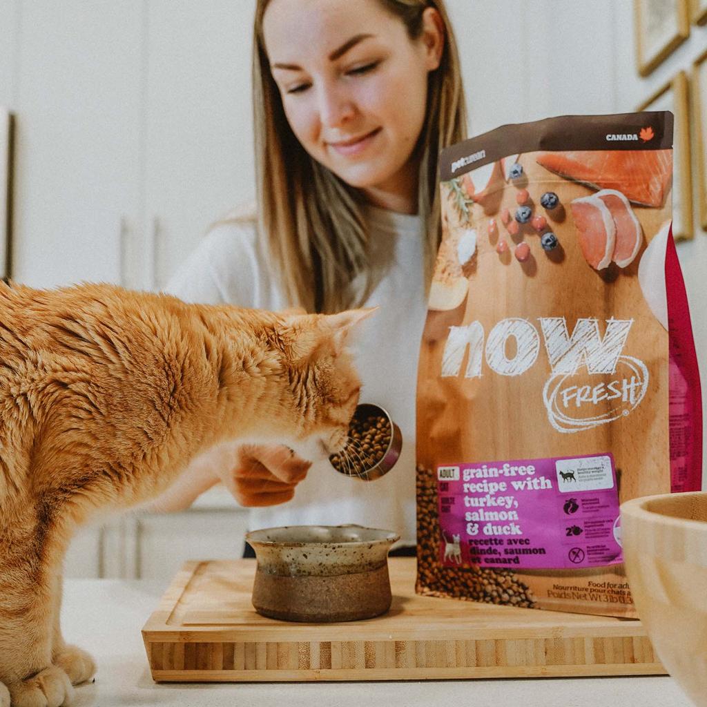 Feline wellness and feeds