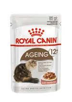 Cat Food & Feline Wellness